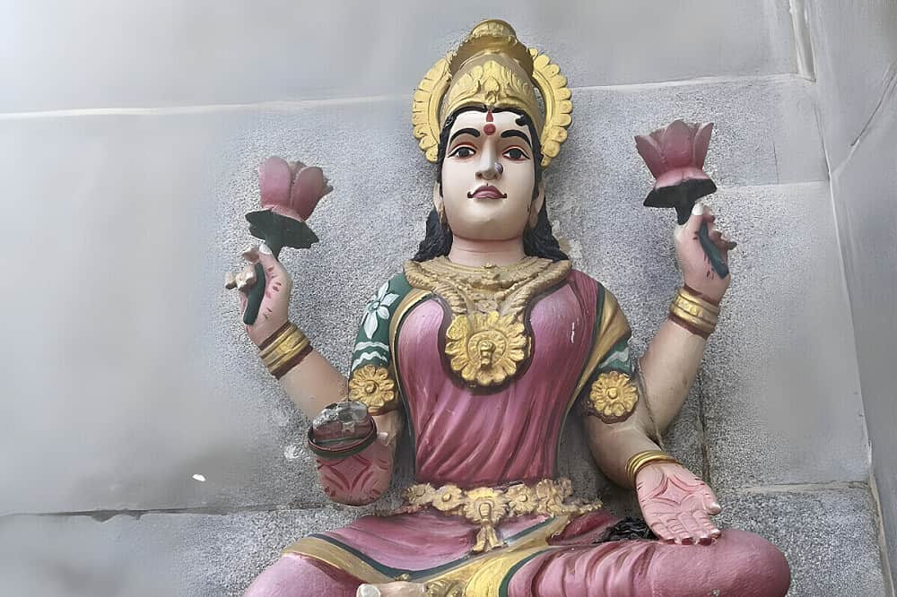 15 Day Sattvic Soul Journey: Panchakarma Retreat in India 2