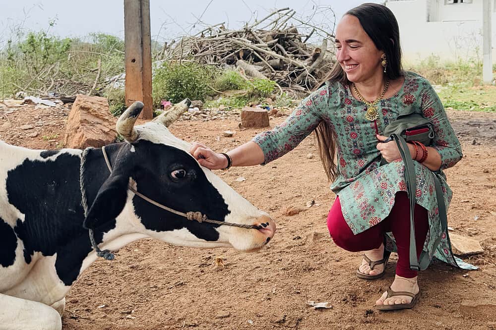 15 Day Sattvic Soul Journey: Panchakarma Retreat in India 3