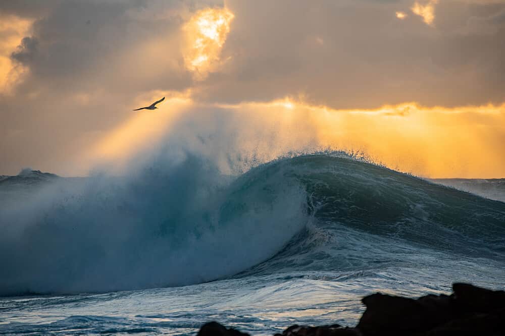 5 Day TIERRA BRAVA Photography Retreat in Fuerteventura, Spain 3