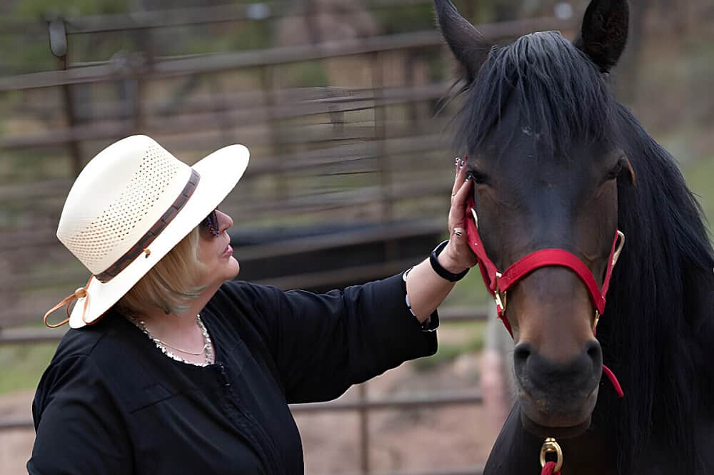5 Day Stronger Together: Equine-Assisted Couples Retreat CO, US 5