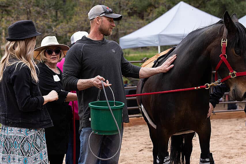 5 Day Stronger Together: Equine-Assisted Couples Retreat CO, US 4