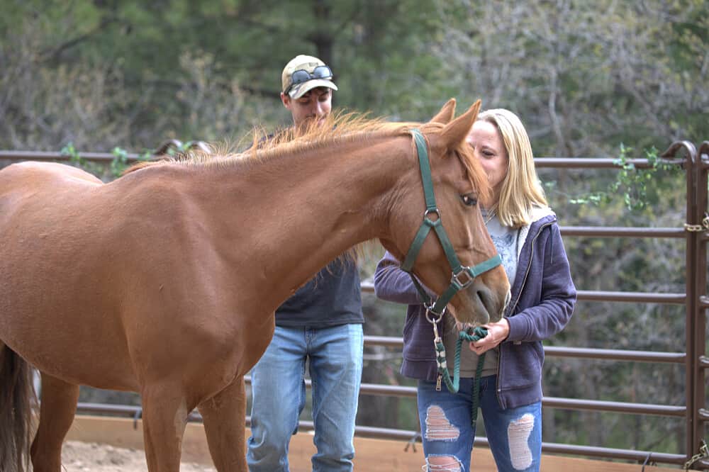 5 Day Stronger Together: Equine-Assisted Couples Retreat CO, US 2