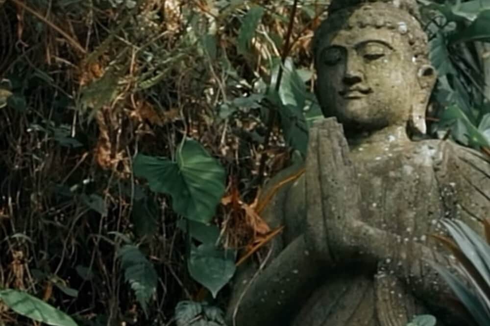 7 Day Women's Immersion Retreat in Bali, Indonesia 8