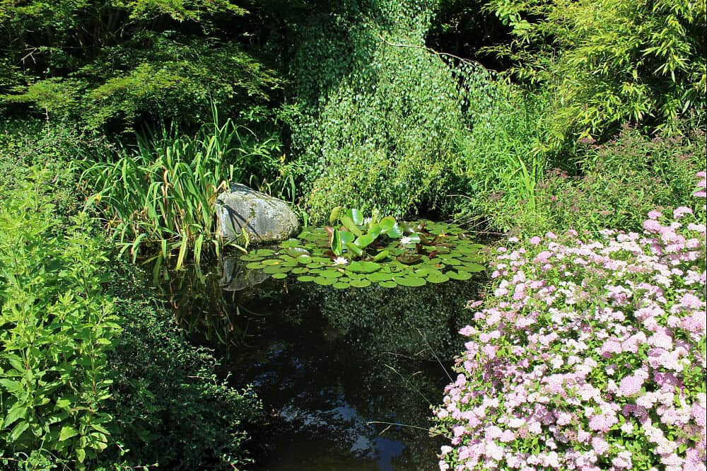 6 Day Self-Paced Writing Retreat in Nature, Germany 5