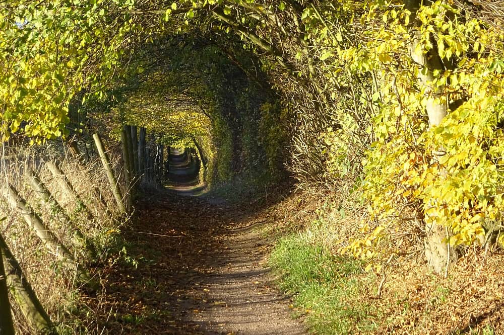 6 Day Self-Paced Writing Retreat in Nature, Germany 3