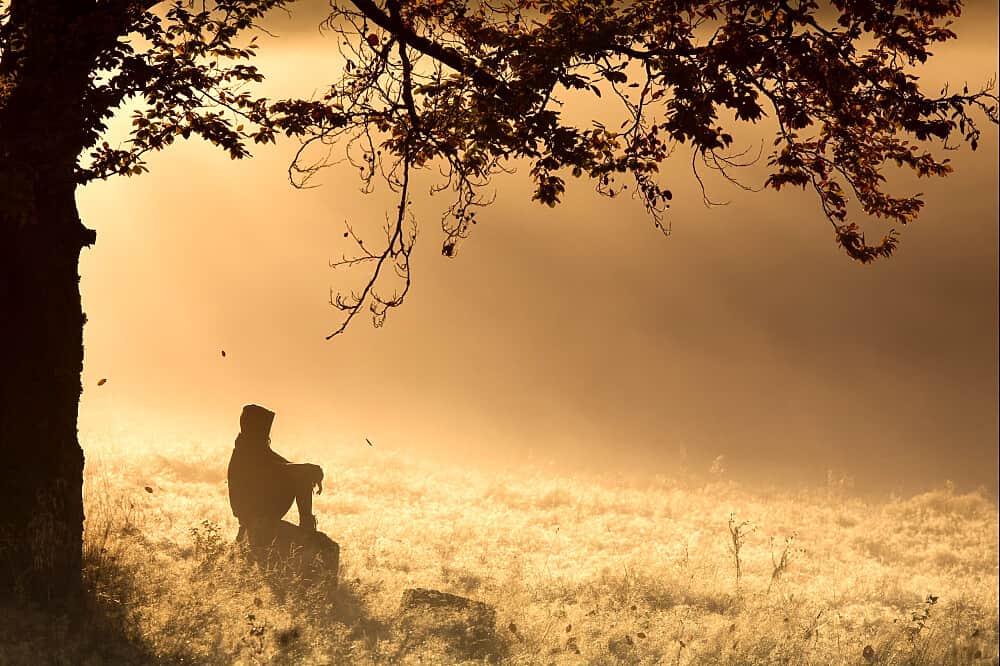 6 Day Self-Paced Writing Retreat in Nature, Germany 6