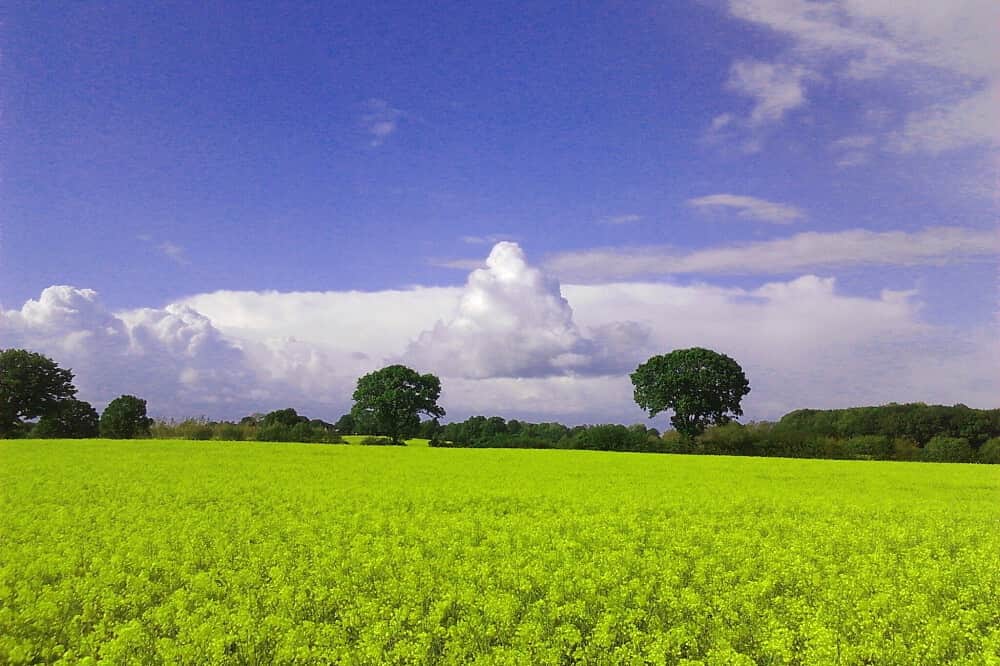 8 Day Healing Grief & Loss in Nature`s Paradise, Germany 6