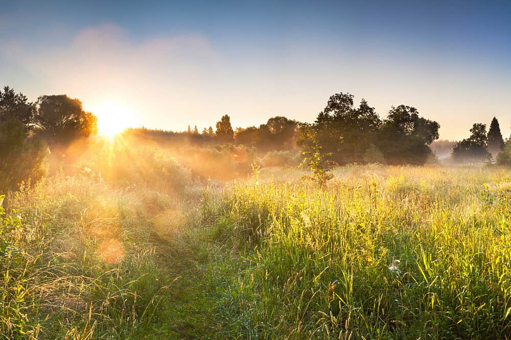 8 Day Healing Grief & Loss in Nature`s Paradise, Germany 2