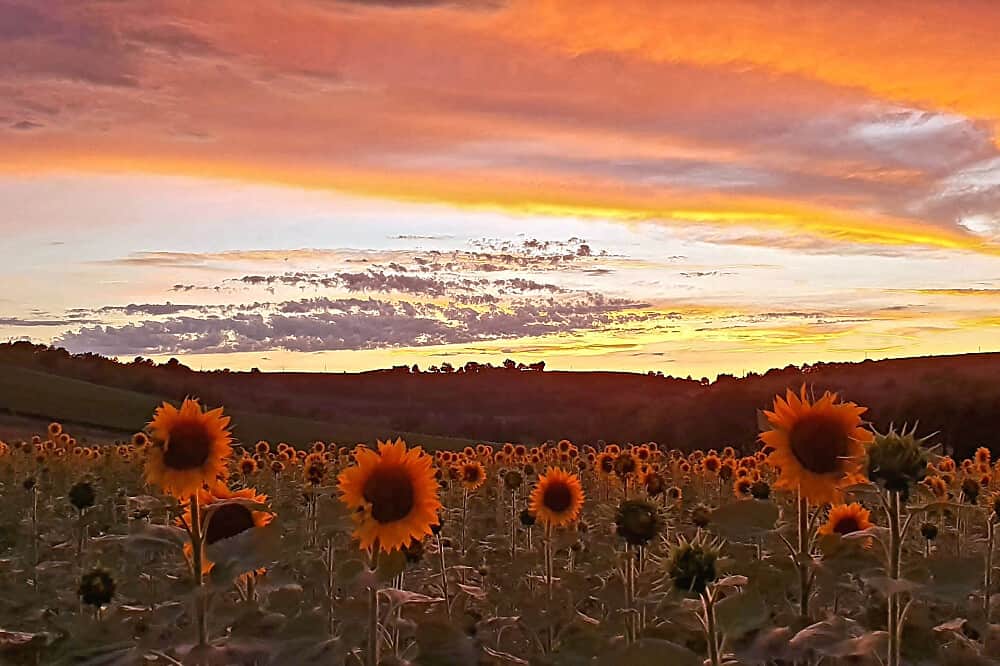 6 Day Individual Transformative & Spiritual Retreat in France 5