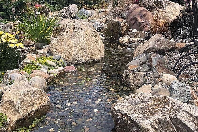 3 Day Yin Yoga Radical Peace Retreat in North San Juan, CA, USA 4