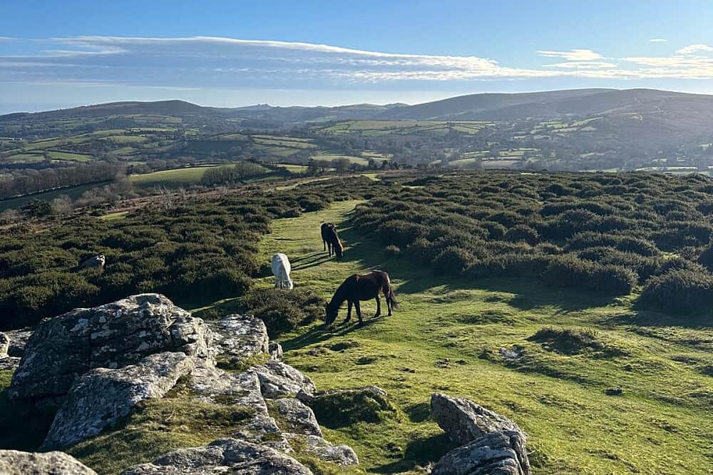 7 Day Independent Writing Retreat in Devon, UK 4