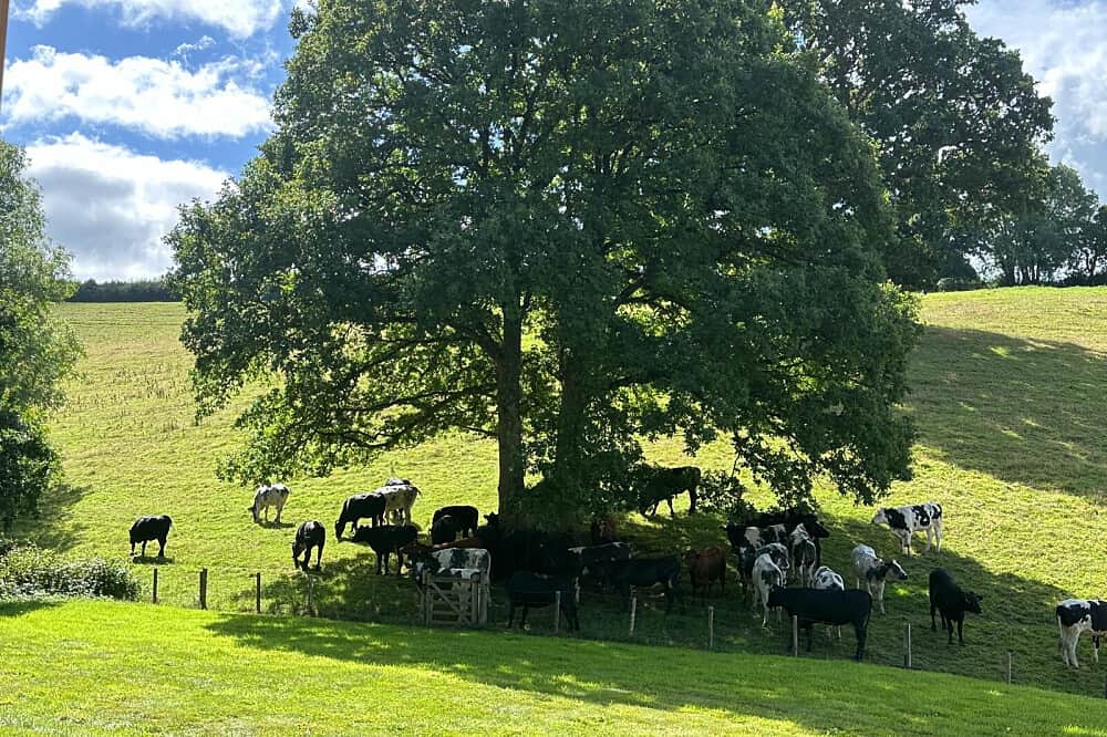 7 Day Independent Writing Retreat in Devon, UK 6