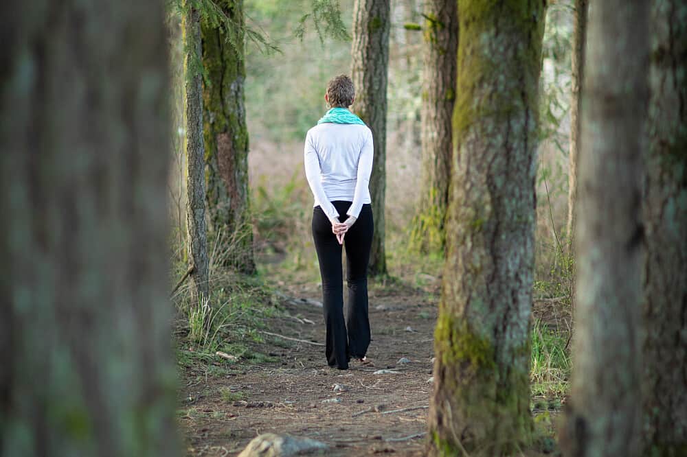 3 Day Fall Silent Meditation Retreat - Mayfield Lake, Washington 4