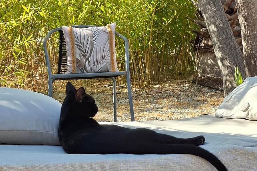 5 Day Awakening The Senses Retreat in Crete, Greece 4