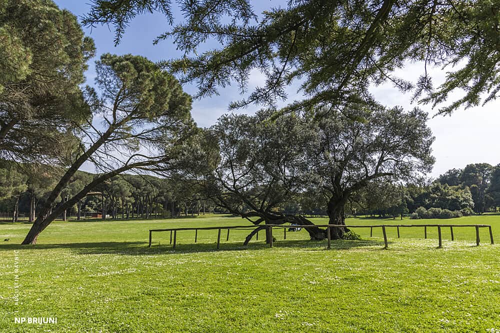 5 Day Pilates & Fitness Retreat in Brijuni National Park, Croatia 8