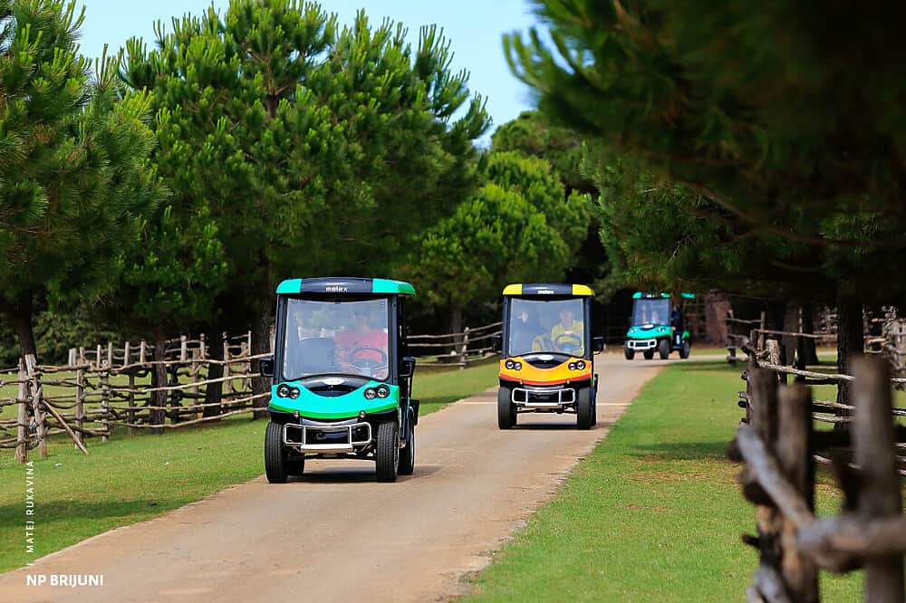 5 Day Pilates & Fitness Retreat in Brijuni National Park, Croatia 2