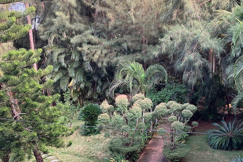 7 Day Authentic Yoga Retreat in Mysore, Karnataka, India 4