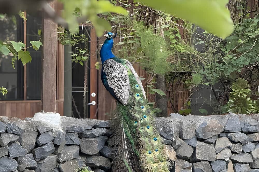 4 Day Put God First Christian Women's Retreat in Perth, Australia 4