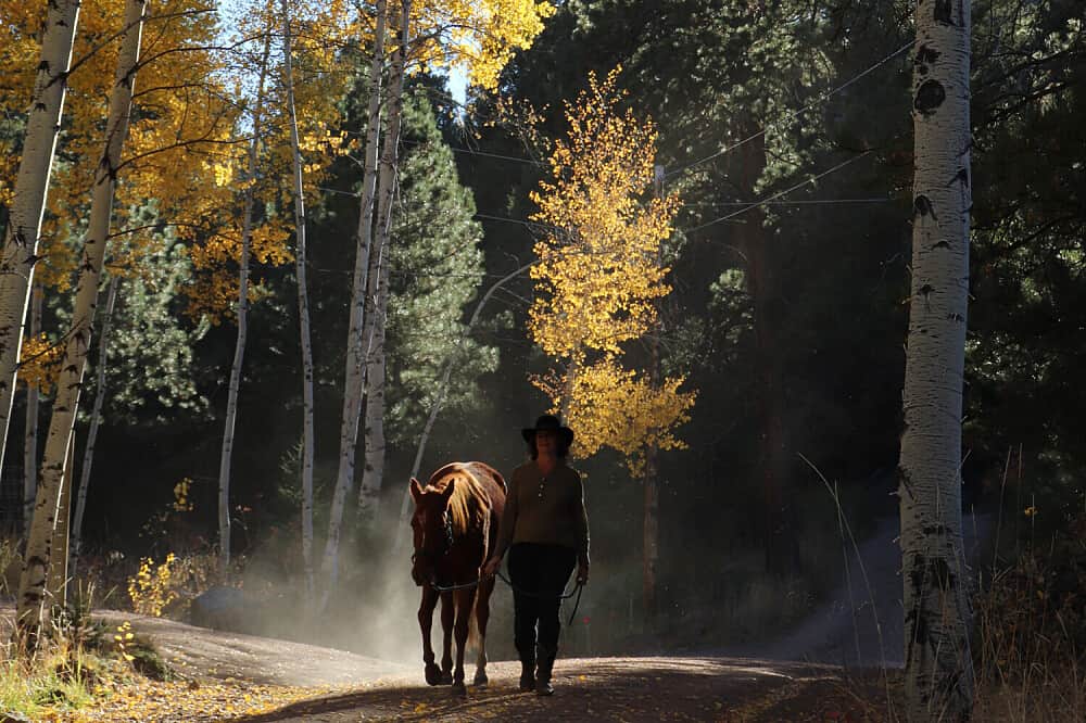 4 Day Women’s Equine-Assisted Clarity w/ Mustangs in CO, US 5