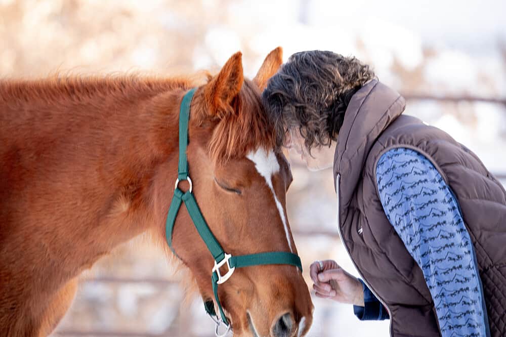 4 Day Women’s Equine-Assisted Clarity w/ Mustangs in CO, US 6