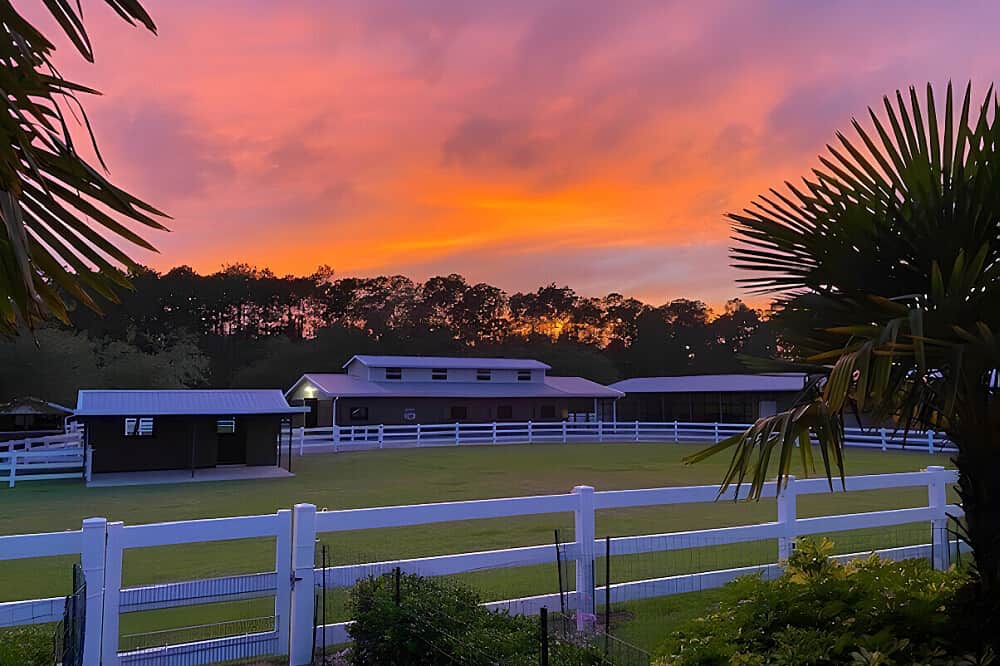 3 Day Soul Reconnection Through Horses Retreat Florida, US 6