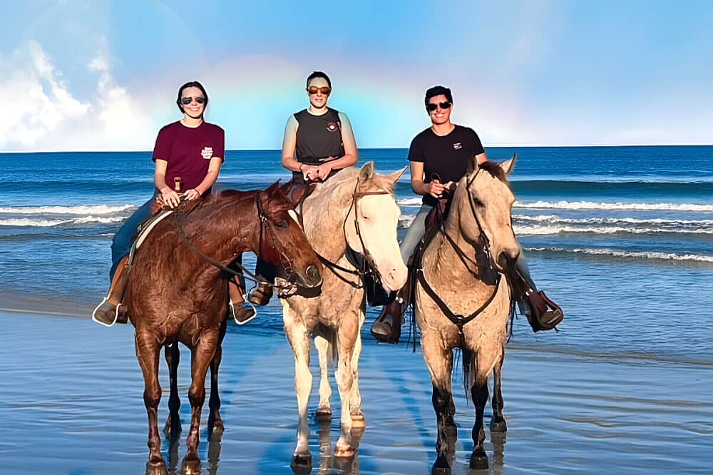 3 Day Soul Reconnection Through Horses Retreat Florida, US 1