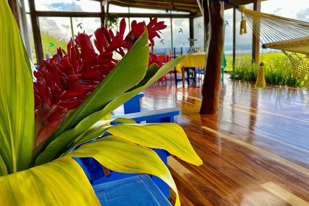 8 Day Divine Union: An Immersive Couples Retreat in Costa Rica 8