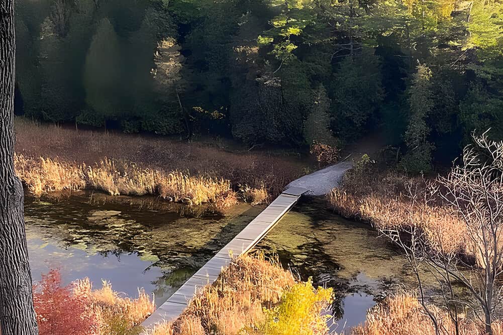 7 Day Sacred Pause Retreat: Soulful Renewal in Ontario, Canada 2