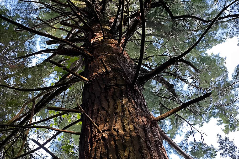 7 Day Sacred Pause Retreat: Soulful Renewal in Ontario, Canada 5