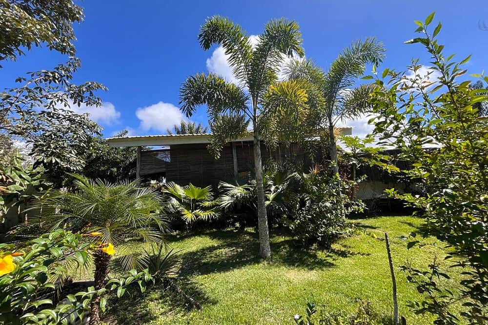 4 Day Care & Healing Shamanic Retreat with Ayahuasca, Brazil 4