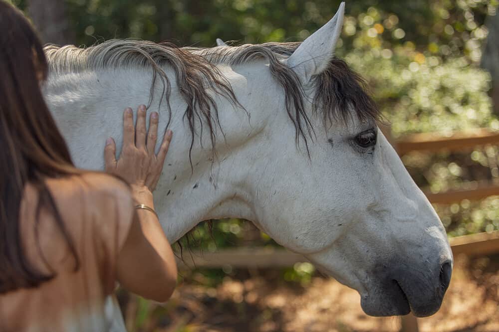 2 Day Equine-Guided Embodiment Retreat in Sintra, Portugal 1