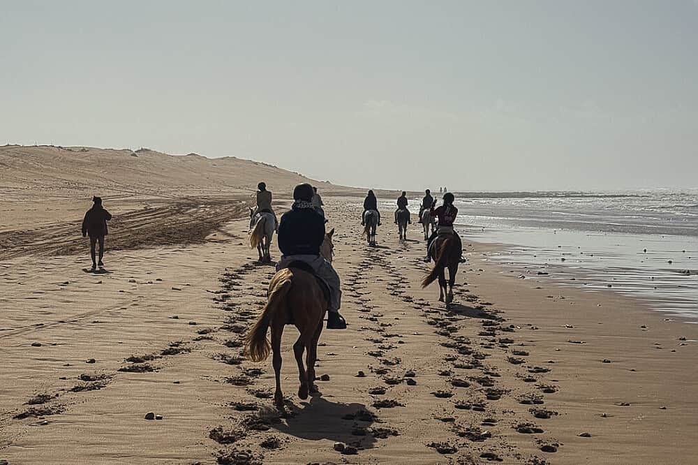 5 Day Creative Reset Retreat by the Sea in Essaouira, Morocco 8