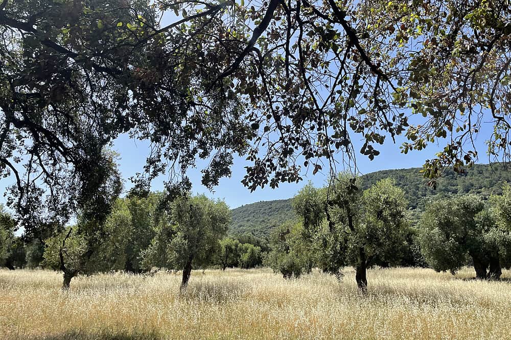 4 Day Slow Living Retreat: Deep Rest, Nature & Renewal, Italy 6