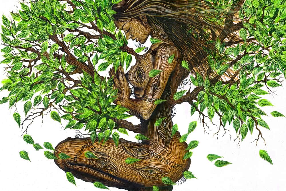 4 Day 1:1 Private Weight Loss Without Shame Retreat in Mexico 2