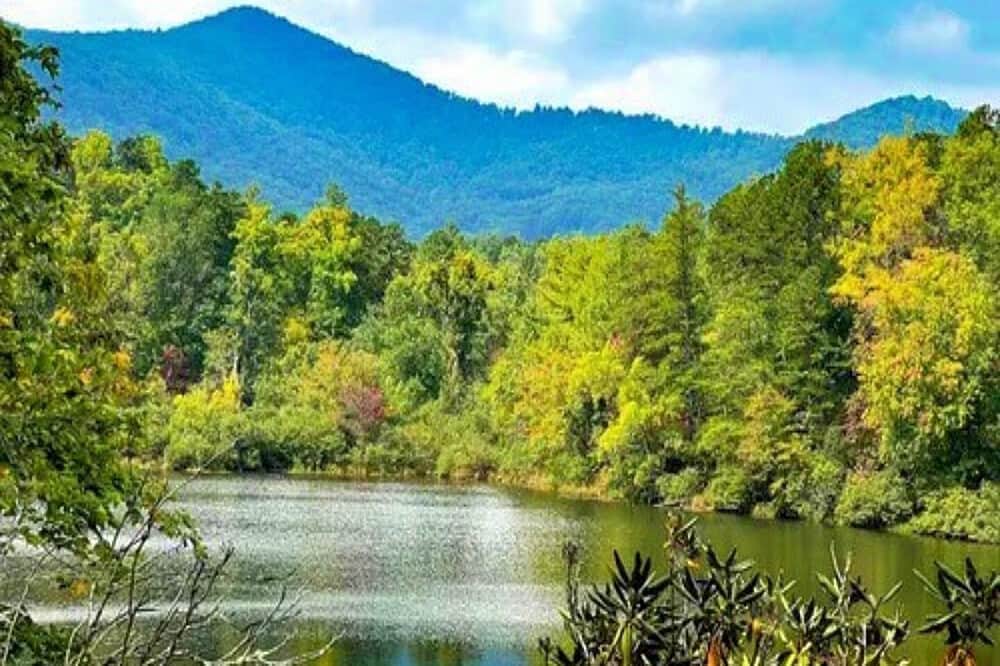 5 Day Divine Communion With Grandmother, Asheville, NC, US 8