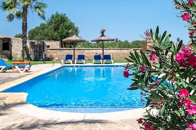 4 Day Yoga for Vitality and Rejuvenation Mallorca Beach, Spain 2