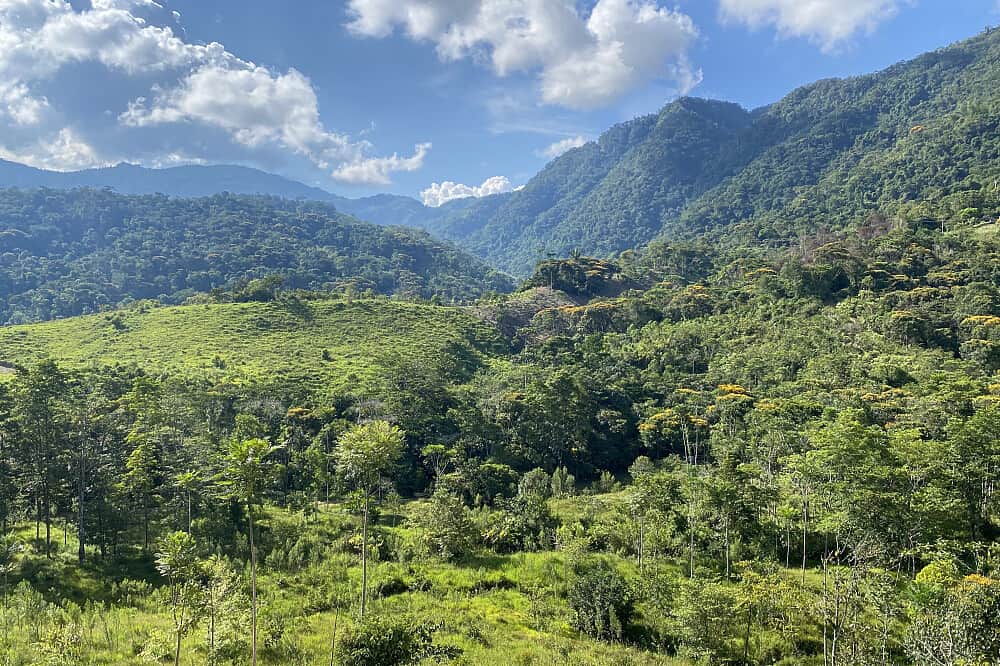 5 Day Couple's Retreat With Psilocybin, Colombia 6