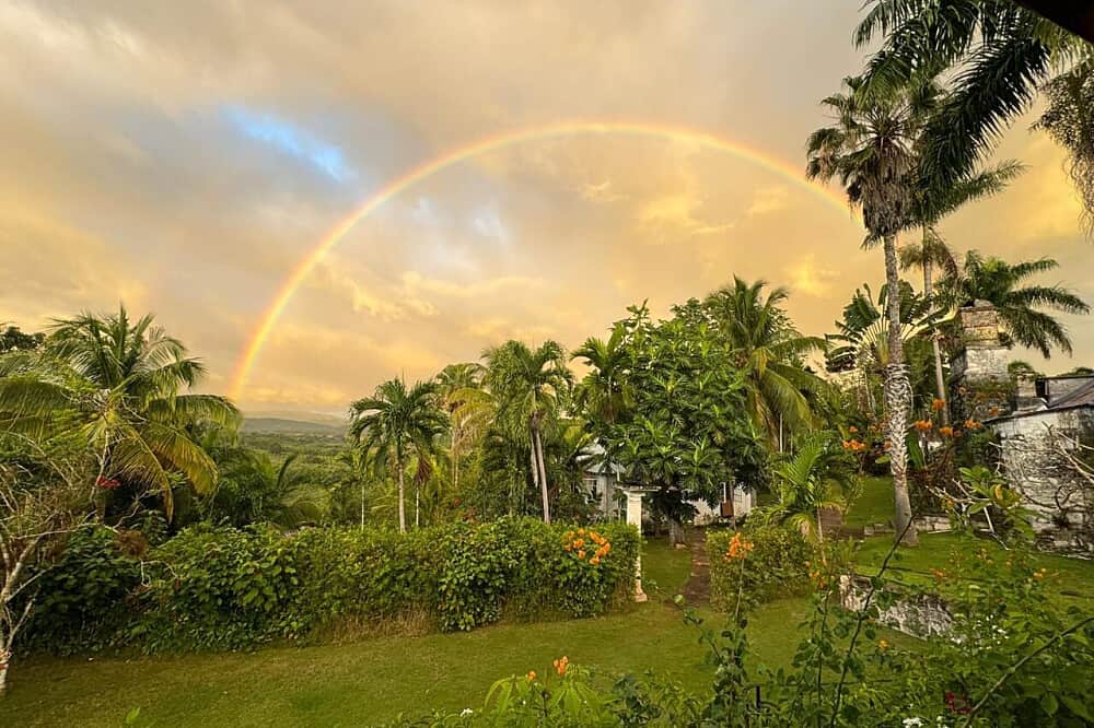 6 Day Beckley Signature Psilocybin Retreat In Jamaica 1