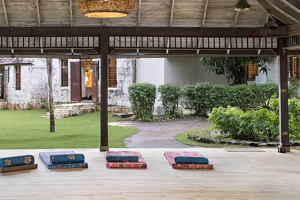 6 Day Beckley Signature Psilocybin Retreat In Jamaica 6