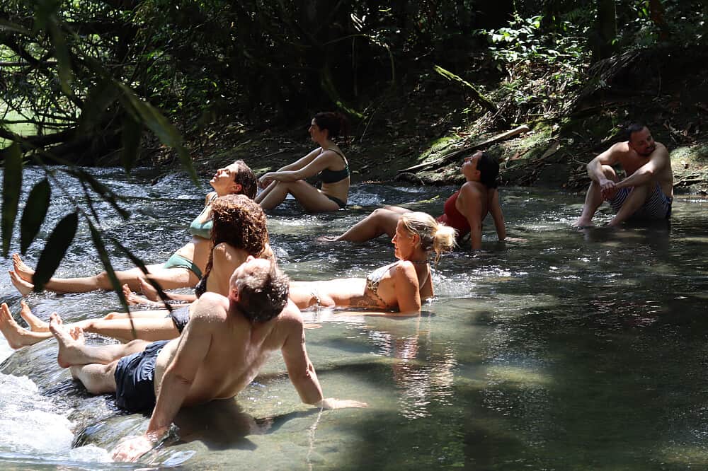 6 Day Beckley Signature Psilocybin Retreat In Jamaica 3