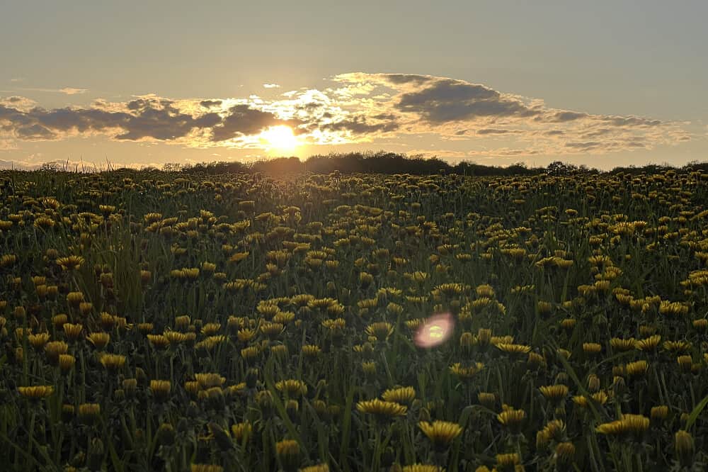 4 Day Rest & Reconnect:Silence, Landscape & Presence, Canada 3
