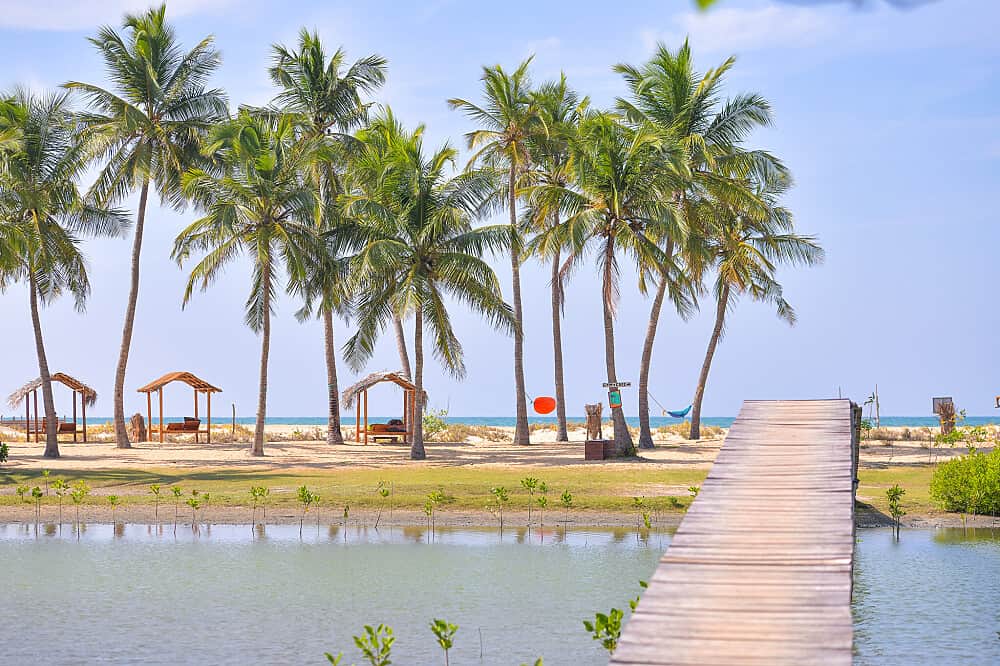 20 Day 200 Hour Yin Yoga & Breathwork TTC in Sri Lanka 3