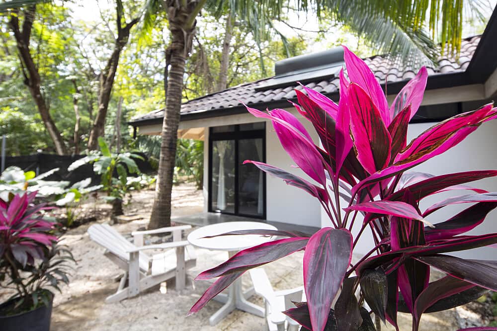 8 Day Ayurvedic Retreat : Reclaim Your Lifestyle in Costa Rica 7