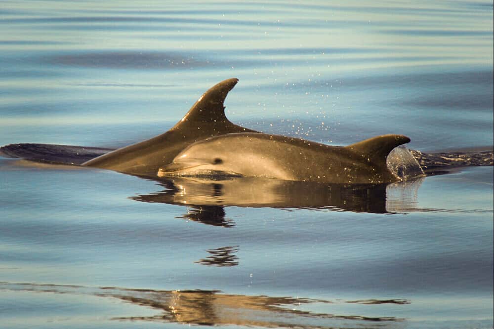 4 Day Rest & Reset Yoga, Brunch & Wellness Holiday in Croatia 8