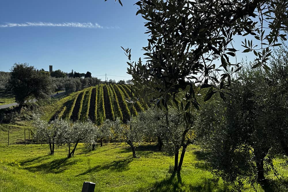 6 Day A Wellness, Culinary & Cultural Group Retreat in Italy 2