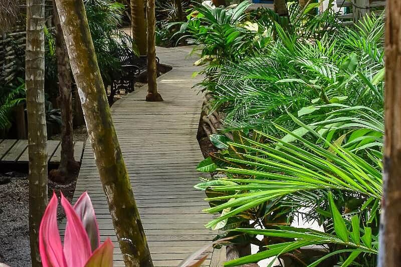 5 Day Yoga & Sound Bath Immersion Tulum, Mexico 5