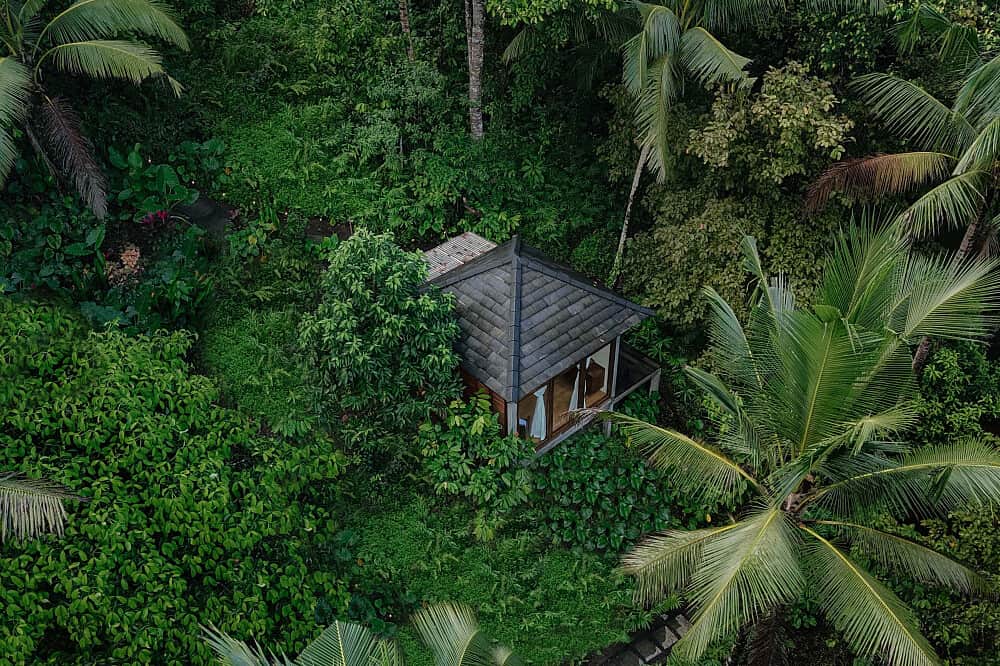 14 Day Nature & Culture:Private Recovery Retreat in Bali Jungle 1