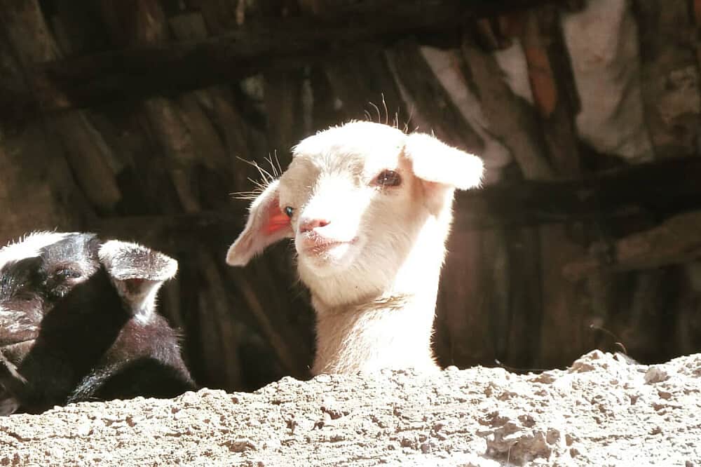 2 Day Reconnect with Nature: Atlas Mountains Retreat in Morocco 3