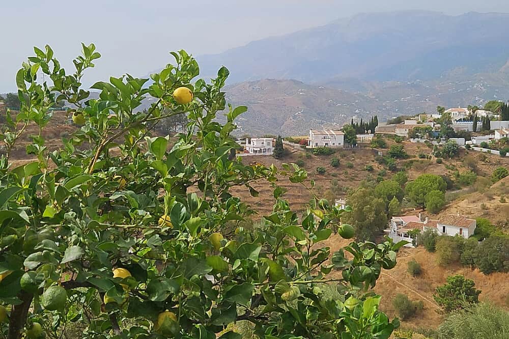 5 Day Yoga & Wellness Women's Retreat in Andalusia, Spain 7