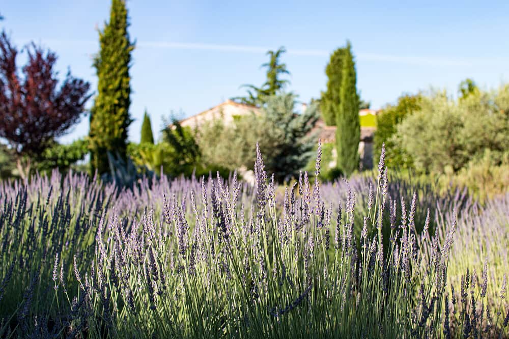 6 Day Her Pages in Provence Writing Retreat | South of France 7